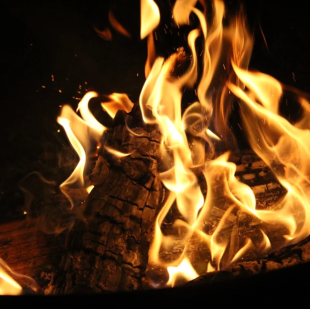 Up in Flames album cover