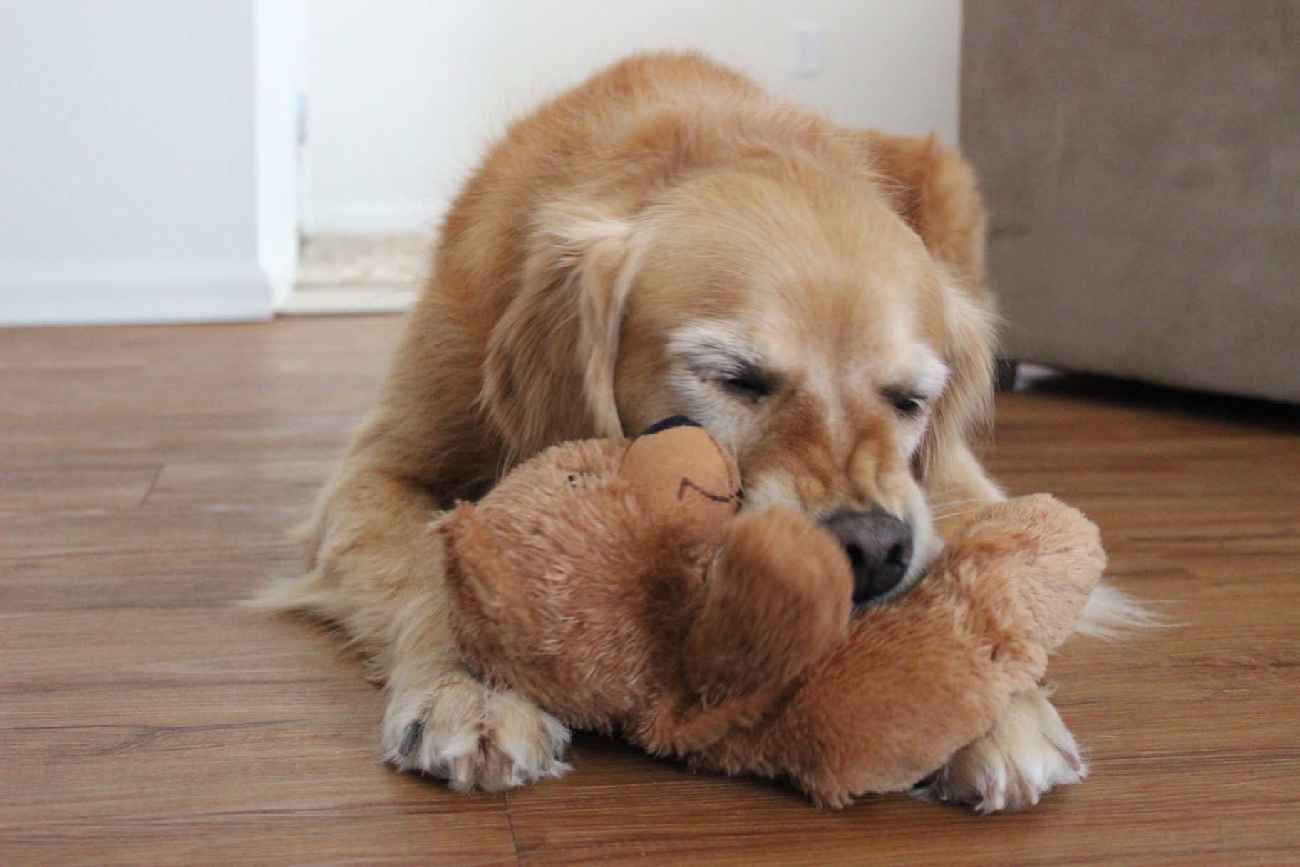 Best Friend