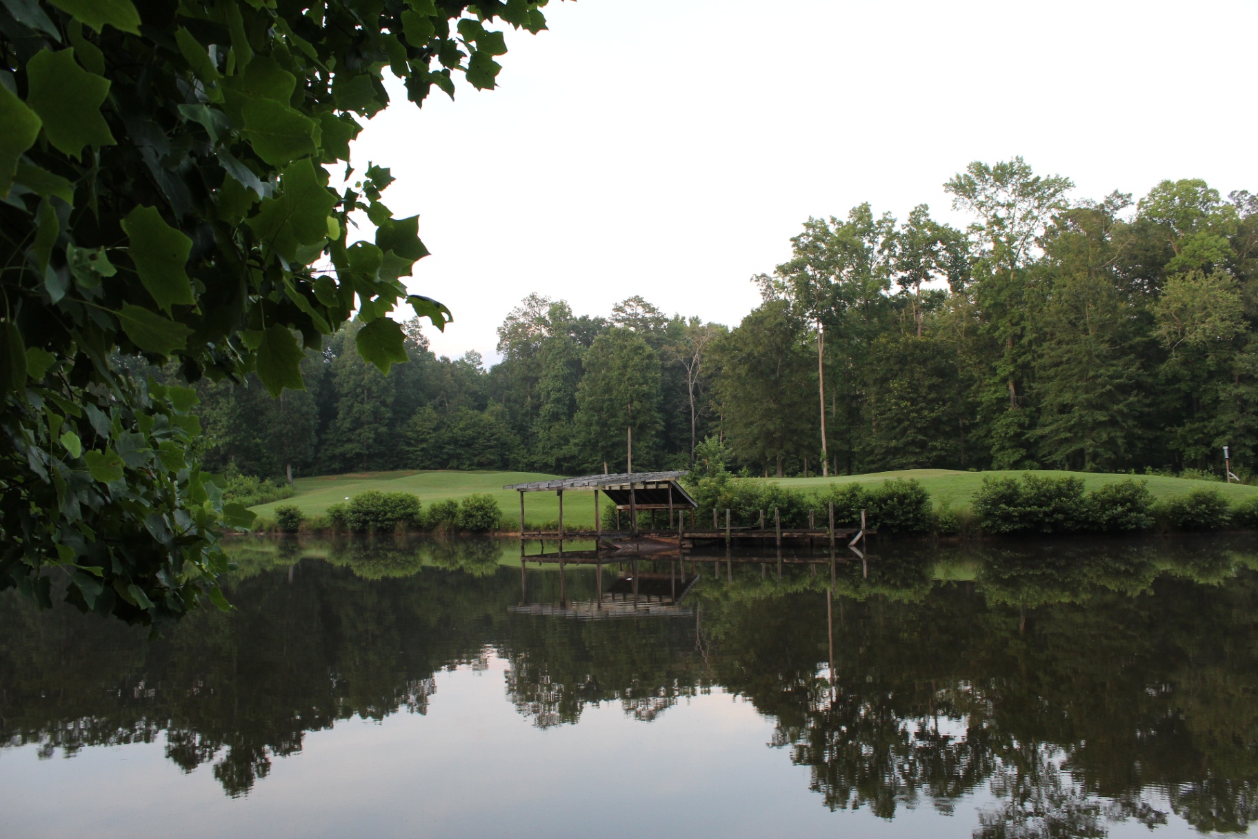 Still waters of a pond
